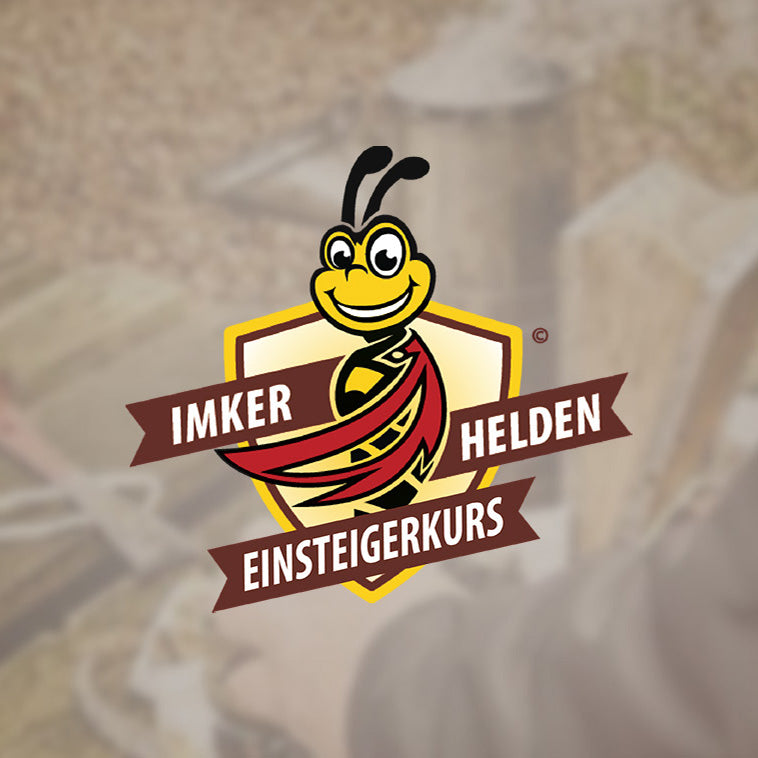 Imkerkurs Einsteiger (Online) – Imker mit Smoker am Bienenstand