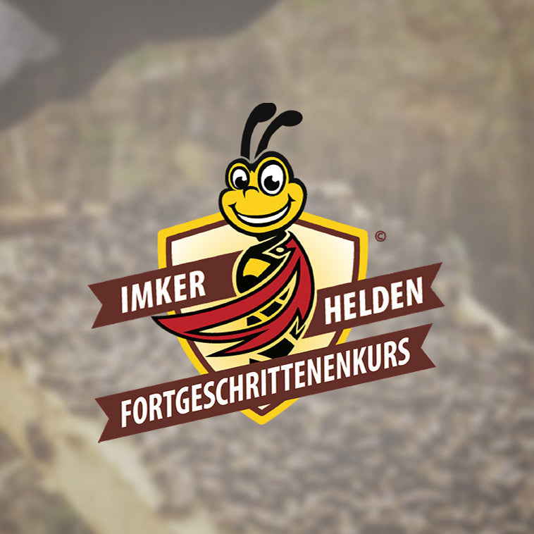 Imkerkurs Fortgeschritten (Online) – Imker zieht Wabe mit Bienen